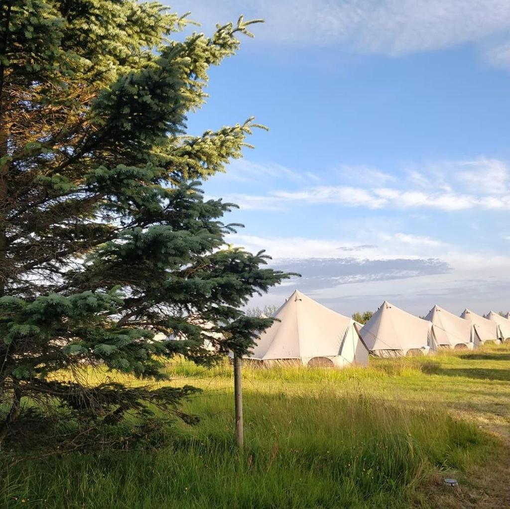 Godaland Glamping 霍尔斯沃德吕尔 外观 照片